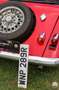 Morgan Sonstige Morgan plus 8 aus langjährigem Besitz Rot - thumbnail 17
