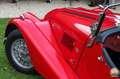 Morgan Morgan plus 8 aus langjährigem Besitz Rouge - thumbnail 16