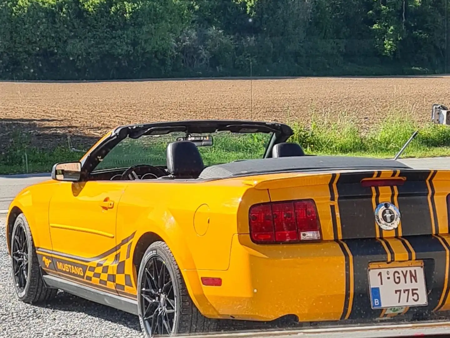 Ford Mustang 4 - 2