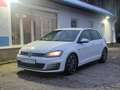 Volkswagen Golf GTI GTI BMT Weiß - thumbnail 2