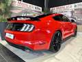 Ford Mustang Ufficiale Italia *Riservata* Rosso - thumbnail 5