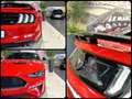 Ford Mustang Ufficiale Italia *Riservata* Rot - thumbnail 15