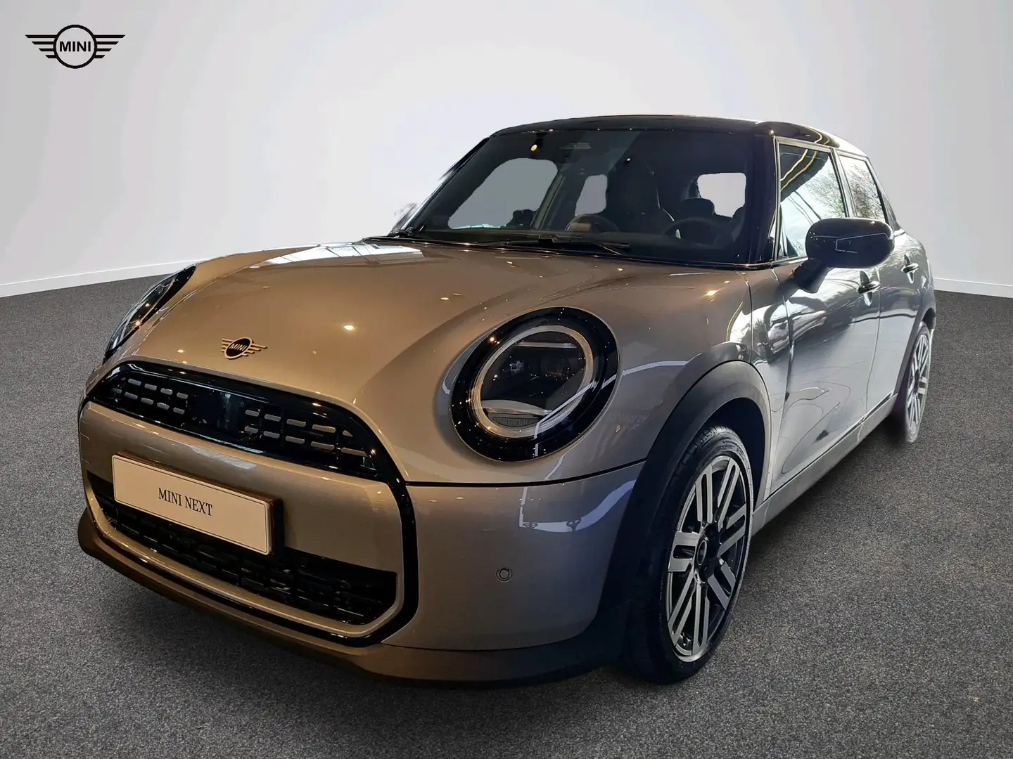 MINI Cooper C Classic Trim Gris - 1