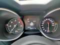 Alfa Romeo Stelvio 2.2 T.diesel 190 CV AT8 Q4 Super Gris - thumbnail 13