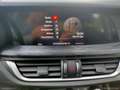 Alfa Romeo Stelvio 2.2 T.diesel 190 CV AT8 Q4 Super Gris - thumbnail 17