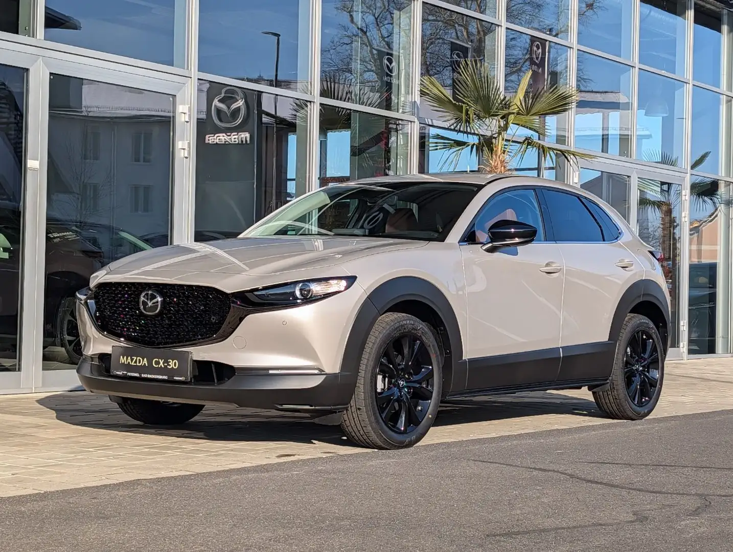 Mazda CX-30 2.5 G140 6AT NAGISA CarPlay DAB AUT Silber - 2