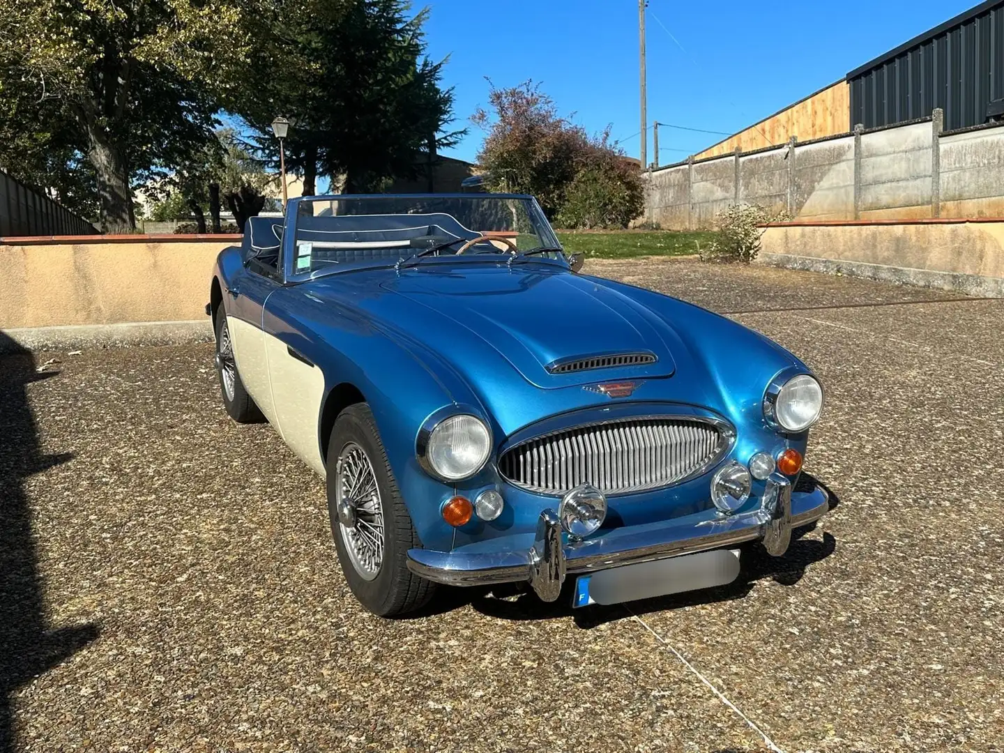 Austin-Healey 3000 Austin Healey 3000 MKIII BJ8 Bleu - 2