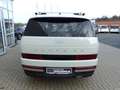 Hyundai SANTA FE 1.6 T-GDi 4WD 6Aut INTRO-Edition *LED*BOSE* Beige - thumbnail 9