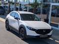 Mazda CX-30 2.5 G140 6AT HOMURA PLUS Leder Weiß - thumbnail 10