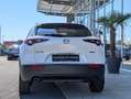 Mazda CX-30 2.5 G140 6AT HOMURA PLUS Leder Weiß - thumbnail 5