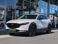 Mazda CX-30 2.5 G140 6AT HOMURA PLUS Leder Weiß - thumbnail 2