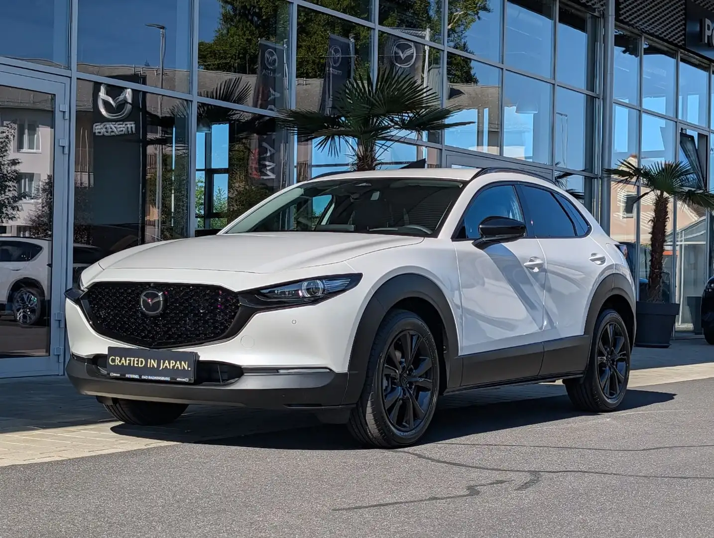 Mazda CX-30 2.5 G140 6AT HOMURA PLUS Leder Weiß - 2