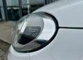 Fiat 500X 500 X 2015 1.6 mjt Business 4x2 120cv Weiß - thumbnail 16