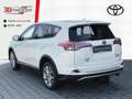 Toyota RAV 4 2.5 Hybrid Edition +Sitzheizung +AHK Blanc - thumbnail 4