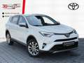 Toyota RAV 4 2.5 Hybrid Edition +Sitzheizung +AHK White - thumbnail 1