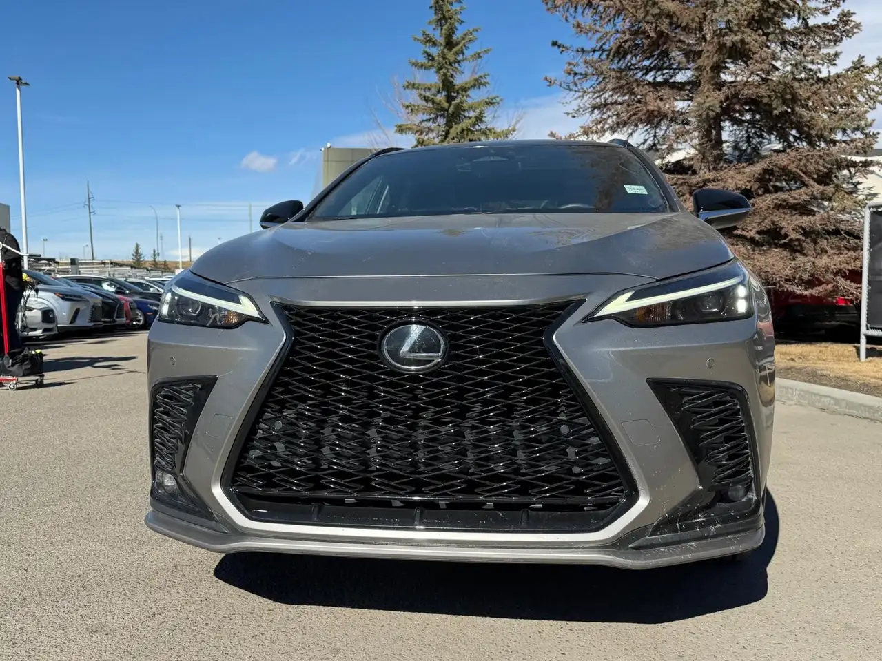 Lexus NX снимка Lexus NX