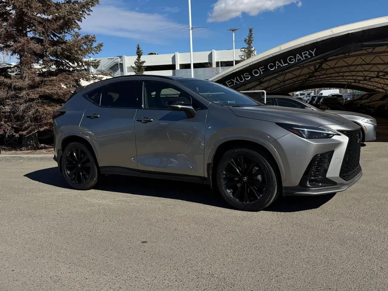 Lexus NX снимка Lexus NX