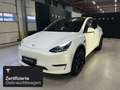 Tesla Model Y Long Range AWD Weiß - thumbnail 1
