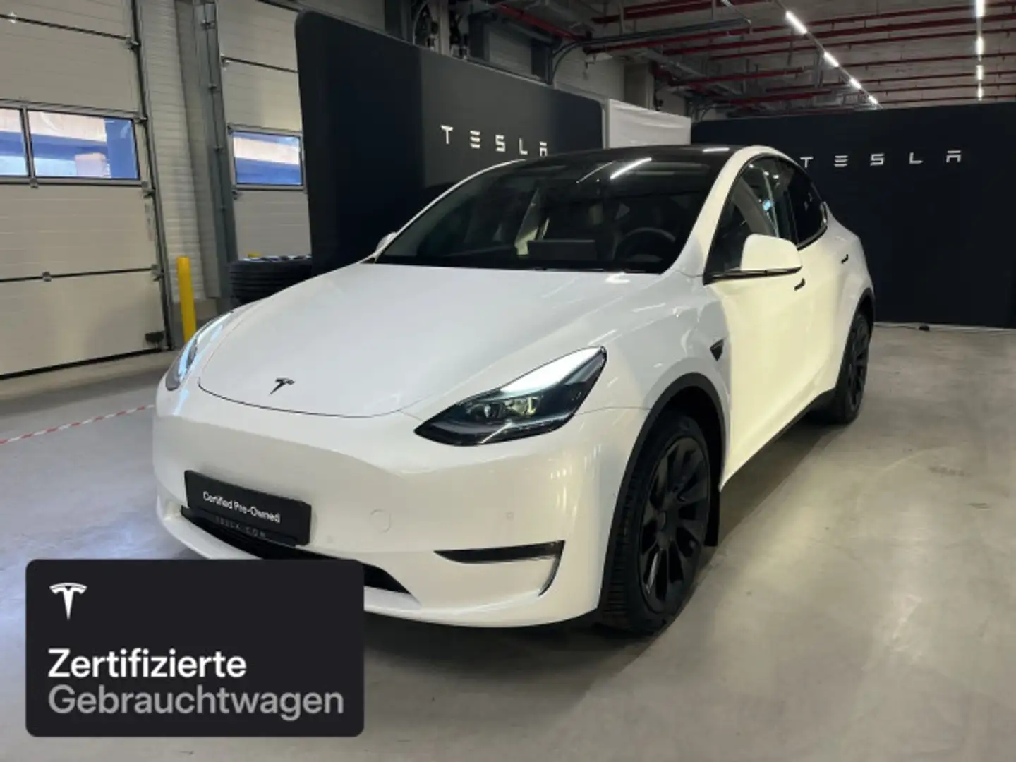 Tesla Model Y Long Range AWD Weiß - 1