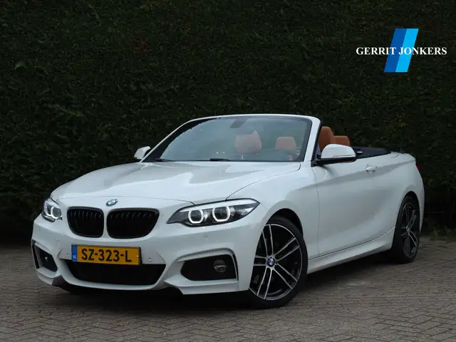 BMW 220 2-serie Cabrio 220i High Executive M Sport | 1e ei