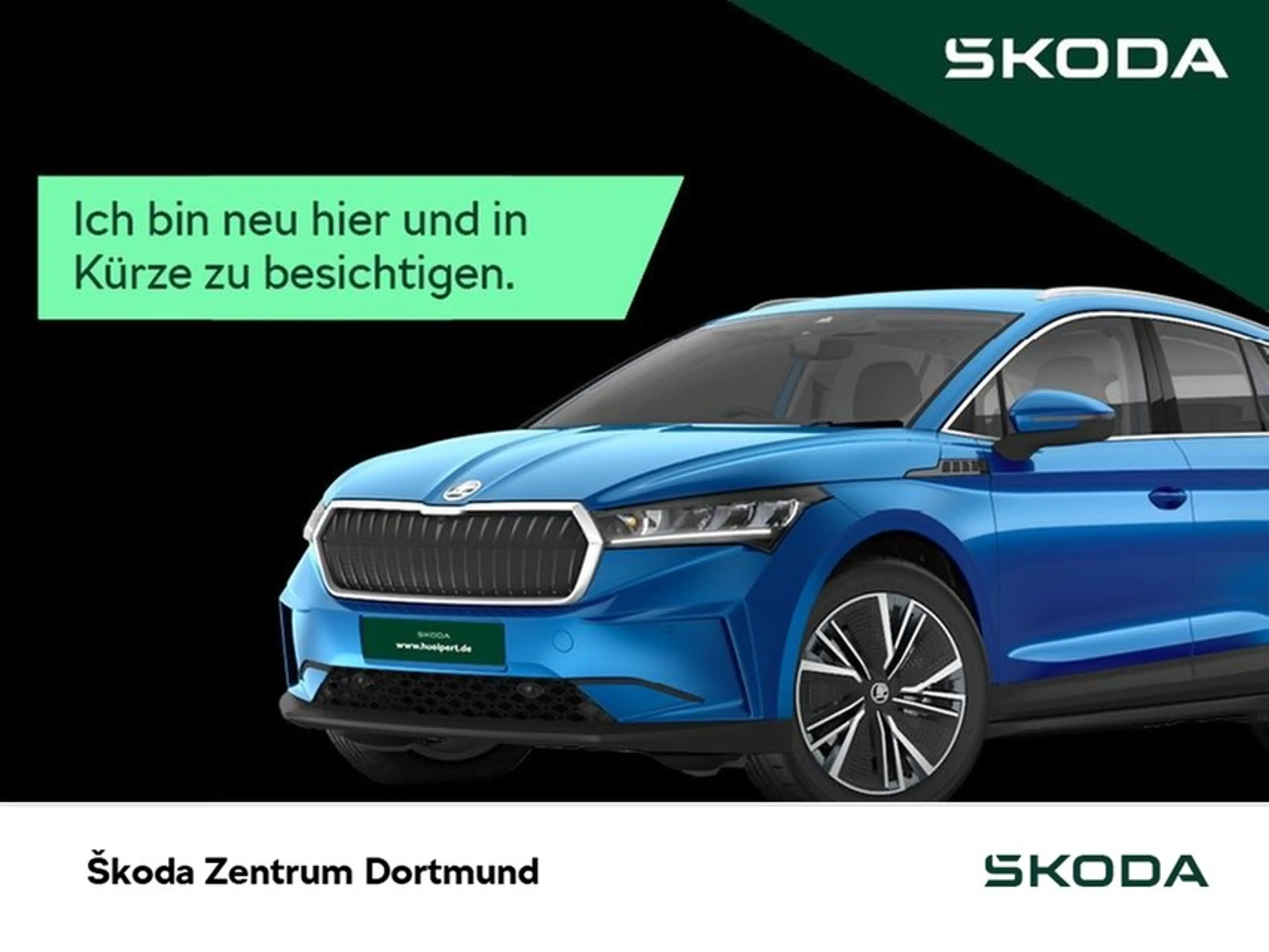 Skoda Enyaq 80 SPORTLINE WÄRMEPUMPE 360°CAM ACC LM20