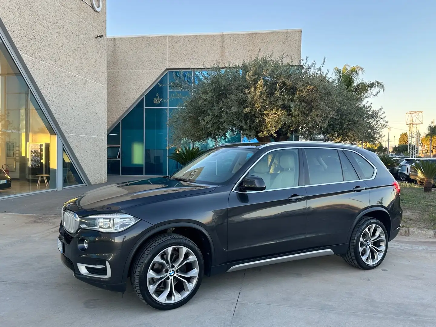 BMW X5 xdrive25d 231cv auto Grigio - 2