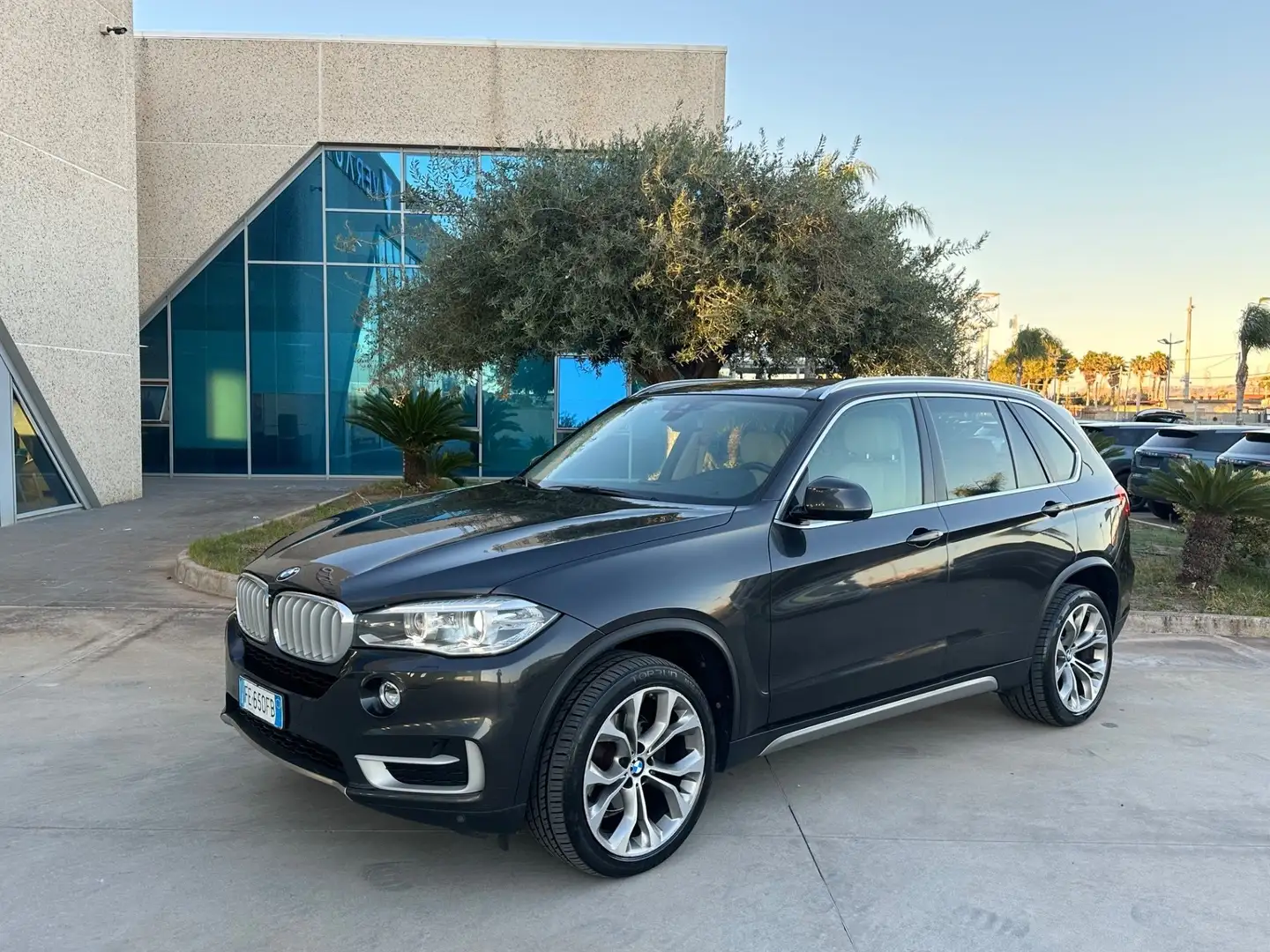 BMW X5 xdrive25d 231cv auto Grigio - 1