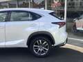 Lexus NX 300h AWD Sport Edition Luxury & Safety Pack | Apple Car White - thumbnail 2