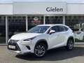Lexus NX 300h AWD Sport Edition Luxury & Safety Pack | Apple Car White - thumbnail 1
