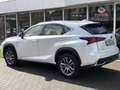 Lexus NX 300h AWD Sport Edition Luxury & Safety Pack | Apple Car White - thumbnail 8