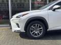 Lexus NX 300h AWD Sport Edition Luxury & Safety Pack | Apple Car White - thumbnail 3