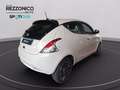 Lancia Ypsilon 1.0 firefly hybrid Platino s&s 70cv - NEOPATENTATI Bianco - thumbnail 4