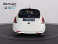 Lancia Ypsilon 1.0 firefly hybrid Platino s&s 70cv - NEOPATENTATI Bianco - thumbnail 5
