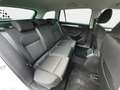 Skoda Superb Combi Ambition 2.0 TDI NAVI*AHK*ACC*SPUR* Plateado - thumbnail 16