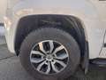 Volkswagen Amarok Canyon DoubleCab 4Motion Weiß - thumbnail 7