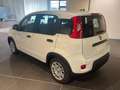 Fiat Panda 1.0 firefly hybrid s&s 70cv CON ROTTAMAZIONE Blanc - thumbnail 9