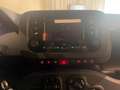 Fiat Panda 1.0 firefly hybrid s&s 70cv CON ROTTAMAZIONE Blanc - thumbnail 16