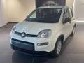 Fiat Panda 1.0 firefly hybrid s&s 70cv CON ROTTAMAZIONE Blanc - thumbnail 3