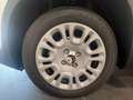 Fiat Panda 1.0 firefly hybrid s&s 70cv CON ROTTAMAZIONE Blanc - thumbnail 11