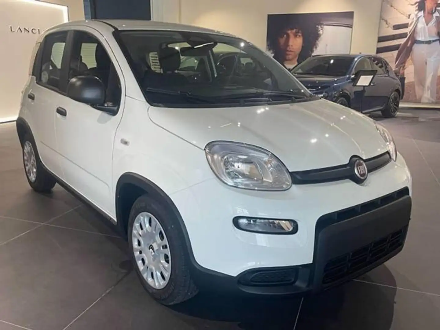 Fiat Panda 1.0 firefly hybrid s&s 70cv CON ROTTAMAZIONE Blanc - 1