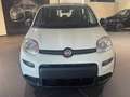 Fiat Panda 1.0 firefly hybrid s&s 70cv CON ROTTAMAZIONE Blanc - thumbnail 2