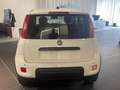 Fiat Panda 1.0 firefly hybrid s&s 70cv CON ROTTAMAZIONE Blanc - thumbnail 7