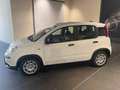 Fiat Panda 1.0 firefly hybrid s&s 70cv CON ROTTAMAZIONE Blanc - thumbnail 4
