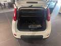 Fiat Panda 1.0 firefly hybrid s&s 70cv CON ROTTAMAZIONE Blanc - thumbnail 8