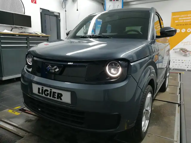 Ligier Myli E.PIC*WSShzg*Carplay*Shzg*el.Fh*RFK*LED*ZV*