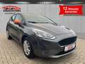 Ford Fiesta Cool & Connect 1.0 EcoBoost EU6d Navi Apple CarPla Grau - thumbnail 1