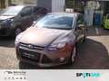 Ford Focus Titanium 1.0 EcoBoost KAT Metallic Braun - thumbnail 1