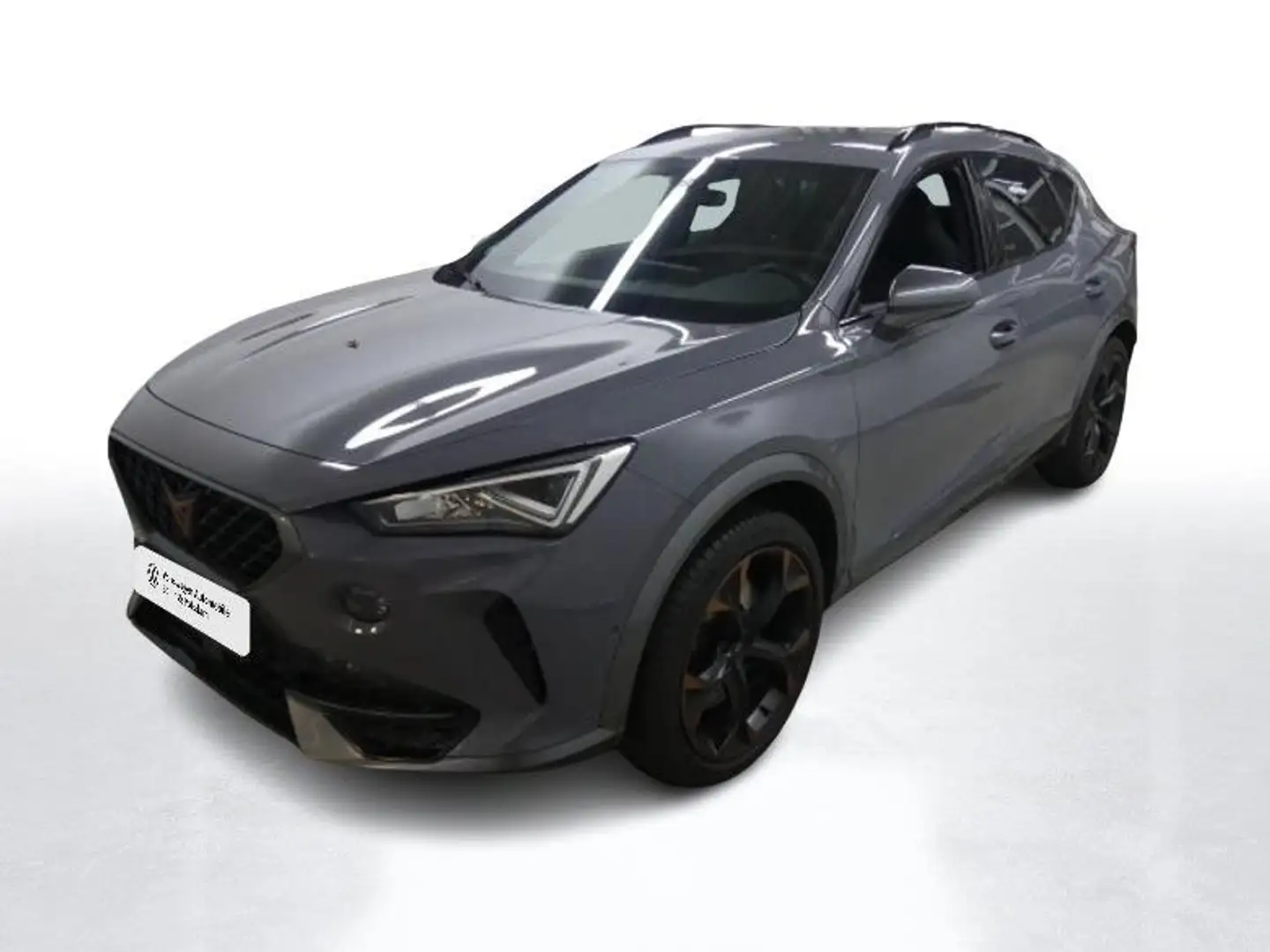 CUPRA Formentor VZ 2.0 TSI DSG 4 Drive Navi LED Telefo Grau - 2