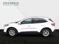 Ford Kuga 2.5 Titanium X LED HEAD UP NAVI Weiß - thumbnail 3