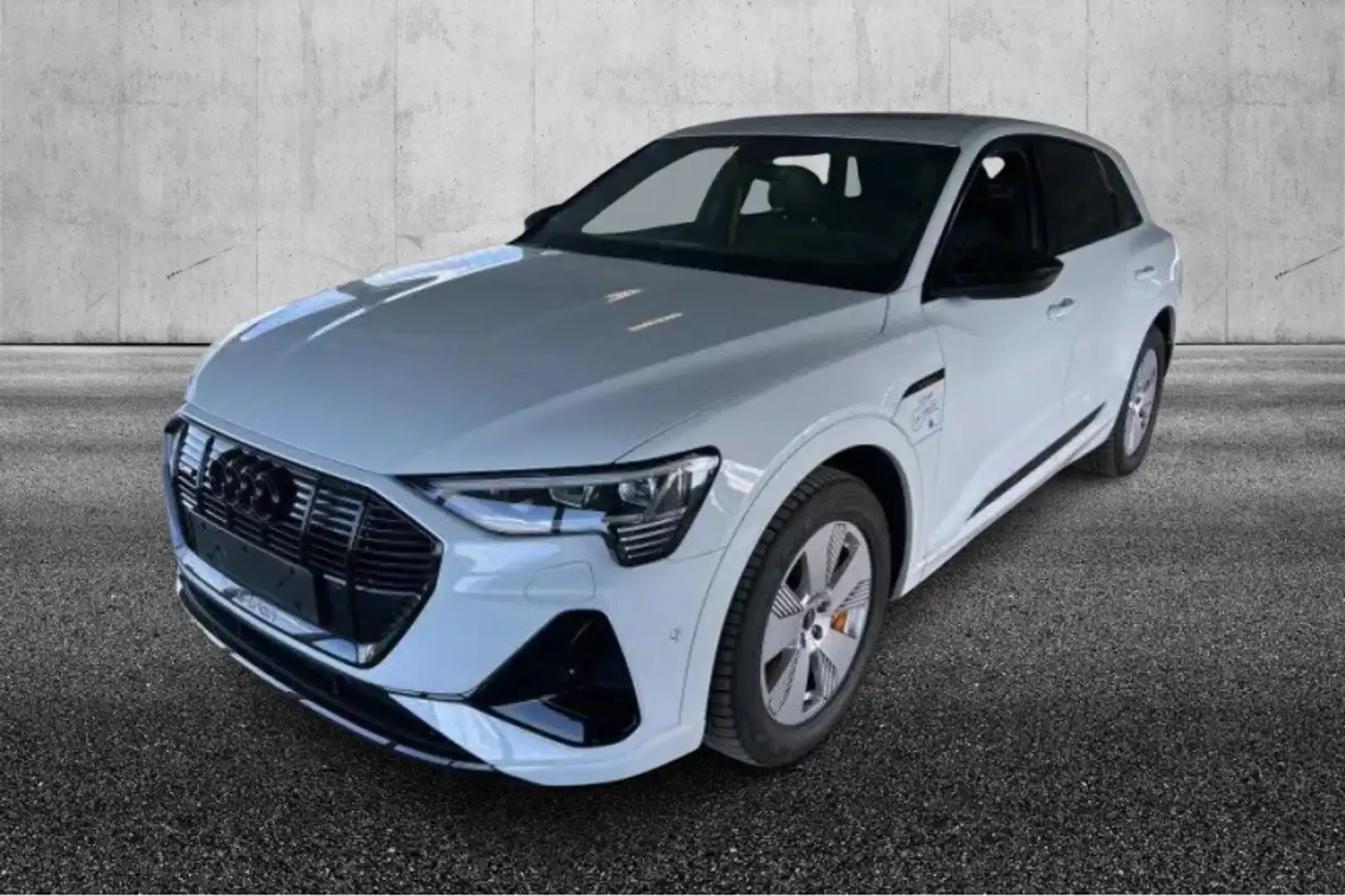 Audi e-tron 55 quattro S line edition Bianco - 1